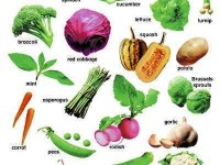 5959939.wrlleliaia.900x1000