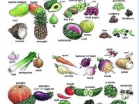 5960072.j0cnmnduva.900x1000