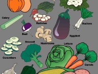 6112568.e3izlituue.900x1000