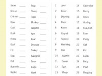 baby.animalbabies.thumb