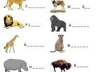 big_zoo_animals