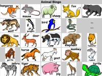group_of_animals