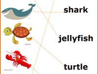 seaAnimalMatchingGame