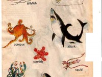 sea_animals_