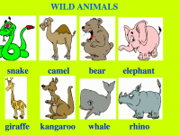 wild_animals