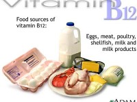 vitamin_b12