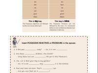 Possessive_Adjectives_and_pronouns