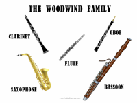 The-Woodwind-Family