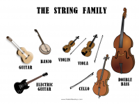 the_string_family